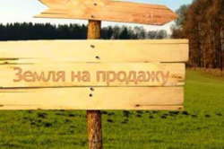 Продам участок С.Балашевка фото 1 Продам участок С.Балашевка фото 1