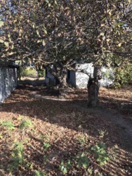 Ділянка в самому центрі селища фото 3 Ділянка в самому центрі селища фото 3