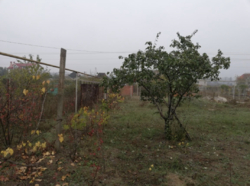 Большой участок у озера! фото 4 Большой участок у озера! фото 4