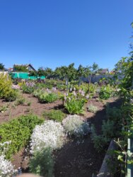 Продам участок на Ветеране фото 4 Продам участок на Ветеране фото 4