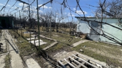 Продам участок 10 соток фото 1 Продам участок 10 соток фото 1