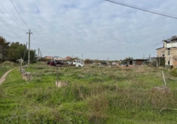 Продається ділянка Одеська, Чорноморськ, Александровка, провулок Зелений фото 4 Продається ділянка Одеська, Чорноморськ, Александровка, провулок Зелений фото 4