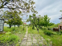 В продаже участок у моря. фото 3 В продаже участок у моря. фото 3