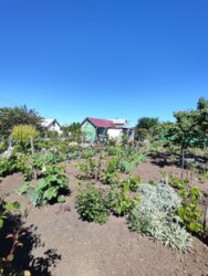 Продам участок на Ветеране фото 1 Продам участок на Ветеране фото 1