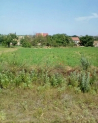 ������ ������� 8 ����� ���� 2