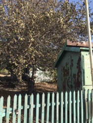 Ділянка в самому центрі селища фото 2 Ділянка в самому центрі селища фото 2