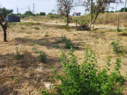 Продається ділянка Юбилейный, Великодолинське, Чорноморськ, Одеська фото 1 Продається ділянка Юбилейный, Великодолинське, Чорноморськ, Одеська фото 1