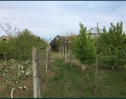 Продається ділянка Одеська, Чорноморськ, Іллічівськ, Перемоги фото 8 Продається ділянка Одеська, Чорноморськ, Іллічівськ, Перемоги фото 8