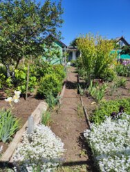 Продам участок на Ветеране фото 7 Продам участок на Ветеране фото 7