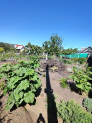 Продам участок на Ветеране фото 3 Продам участок на Ветеране фото 3