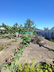 Продам участок на Ветеране фото 9 Продам участок на Ветеране фото 9