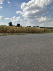 Дуже велика ділянка ! фото 1 Дуже велика ділянка ! фото 1