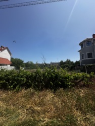 Ділянка вашоі мріі . фото 5 Ділянка вашоі мріі . фото 5