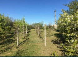 Продається ділянка Одеська, Чорноморськ, Іллічівськ, Перемоги фото 1 Продається ділянка Одеська, Чорноморськ, Іллічівськ, Перемоги фото 1