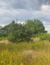 ��������� ������ 1 �����, ���������, �����������, ������� ���� 3