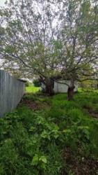 Ділянка в самому центрі селища фото 4 Ділянка в самому центрі селища фото 4