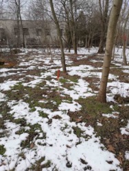 Участок у моря. фото 1 Участок у моря. фото 1