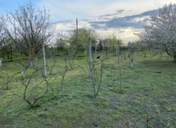 Продається ділянка Одеська, Чорноморськ, Іллічівськ, Перемоги фото 3 Продається ділянка Одеська, Чорноморськ, Іллічівськ, Перемоги фото 3