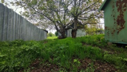 Ділянка в самому центрі селища фото 5 Ділянка в самому центрі селища фото 5