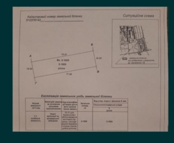 ��������� ������ �����������, ������� ���� 2