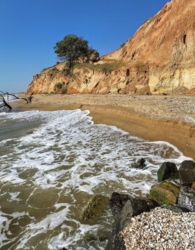 ������ ������� ���� 1