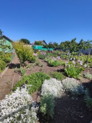 Продам участок на Ветеране фото 11 Продам участок на Ветеране фото 11