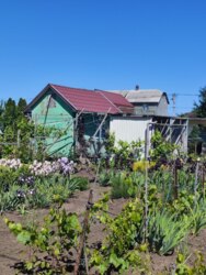 Продам участок на Ветеране фото 2 Продам участок на Ветеране фото 2