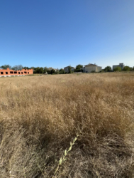 Дуже велика ділянка ! фото 3 Дуже велика ділянка ! фото 3