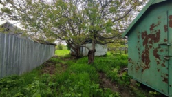 Ділянка в самому центрі селища фото 6 Ділянка в самому центрі селища фото 6