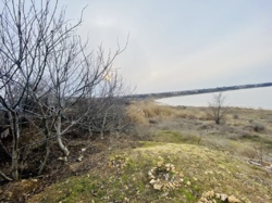 участок в первой лини от озера! фото 4 участок в первой лини от озера! фото 4