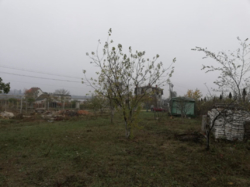 Большой участок у озера! фото 5 Большой участок у озера! фото 5