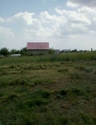 ������ ������� 8 ����� ���� 3