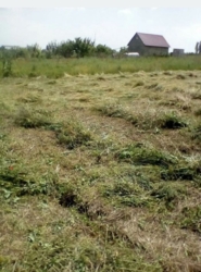 ������ ������� 8 ����� ���� 1