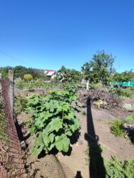 Продам участок на Ветеране фото 8 Продам участок на Ветеране фото 8