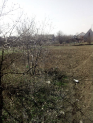 Земельна ділянка у Великодолинському! фото 4 Земельна ділянка у Великодолинському! фото 4