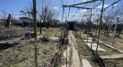 Продам участок 10 соток фото 2 Продам участок 10 соток фото 2