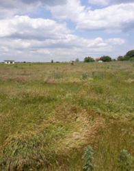 ������ ������� 8 ����� ���� 3