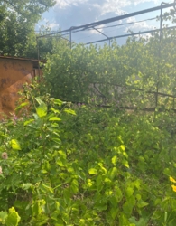 ��������� ������ 1 �����, ���������, �����������, ������� ���� 4