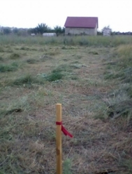 ������ ������� 8 ����� ���� 4