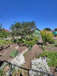 Продам участок на Ветеране фото 10 Продам участок на Ветеране фото 10