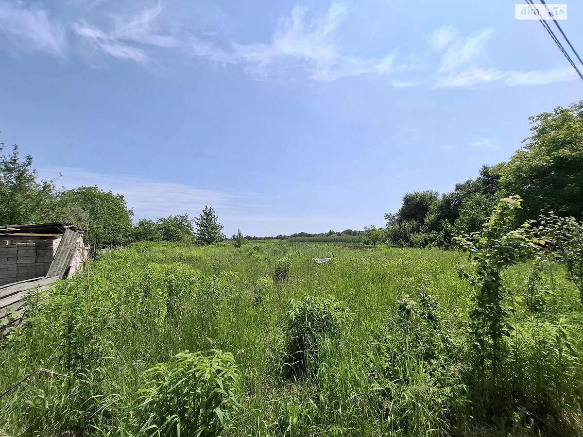 Продам ділянку в с. Березина фото 1 Продам ділянку в с. Березина фото 1