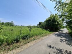 Продам ділянку в с. Березина фото 3 Продам ділянку в с. Березина фото 3