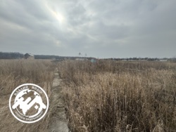 Продам земельну ділянку біля лісу фото 6 Продам земельну ділянку біля лісу фото 6