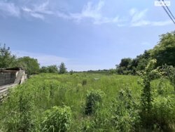 Продам ділянку в с. Березина фото 1 Продам ділянку в с. Березина фото 1