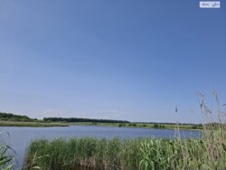 Продам ділянку в с. Березина фото 4 Продам ділянку в с. Березина фото 4