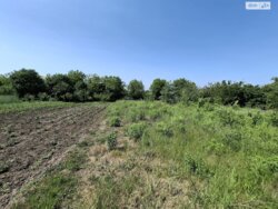 Продам ділянку в с. Березина фото 2 Продам ділянку в с. Березина фото 2