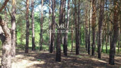 Продажа фасадного участка 4,6 га лес Таценки Конча-Заспа фото 7 Продажа фасадного участка 4,6 га лес Таценки Конча-Заспа фото 7