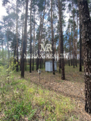 Продажа участка 90 соток с сосновым лесом выход на р.Стугна Украинка фото 11 Продажа участка 90 соток с сосновым лесом выход на р.Стугна Украинка фото 11