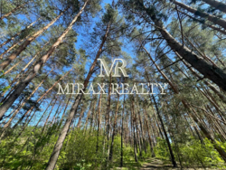 Продажа земельного участка 23 сот Тарасовка Новообуховская трасса фото 1 Продажа земельного участка 23 сот Тарасовка Новообуховская трасса фото 1