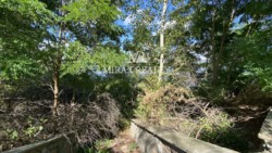 Продаж земельної ділянки 85 соток з виходом на Стугну Українка Обухів фото 7 Продаж земельної ділянки 85 соток з виходом на Стугну Українка Обухів фото 7